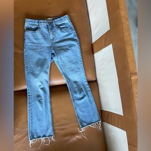 Everlane The Kick Crop Jean